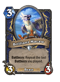 Brilliant Macaw