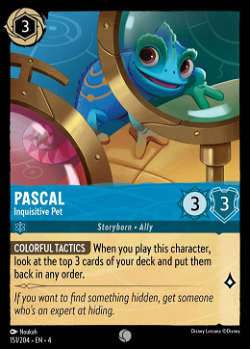 Pascal - Inquisitive Pet