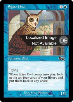 Spire Owl image