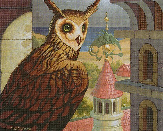 Spire Owl Crop image Wallpaper