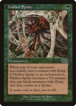 Hidden Spider image