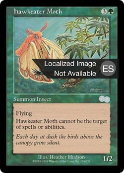 Hawkeater Moth image