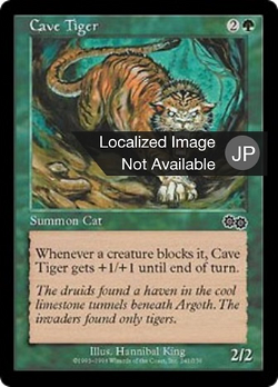 洞穴の虎 image
