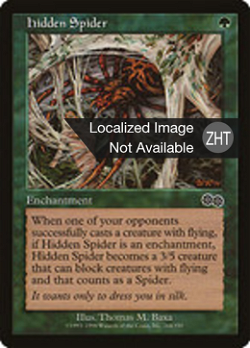 Hidden Spider image
