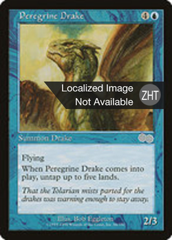 Peregrine Drake image