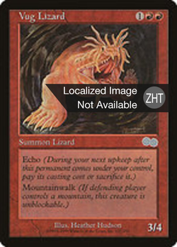 Vug Lizard image