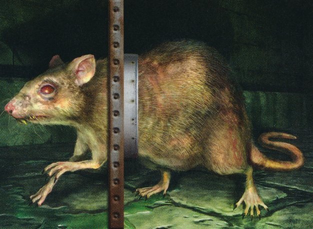 Dirty Rat Crop image Wallpaper