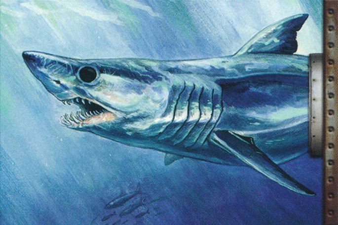 Half-Shark, Half- Crop image Wallpaper