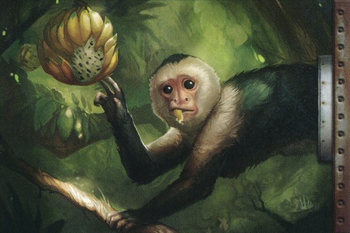 Monkey- Crop image Wallpaper
