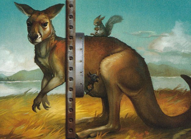 Mother Kangaroo Crop image Wallpaper