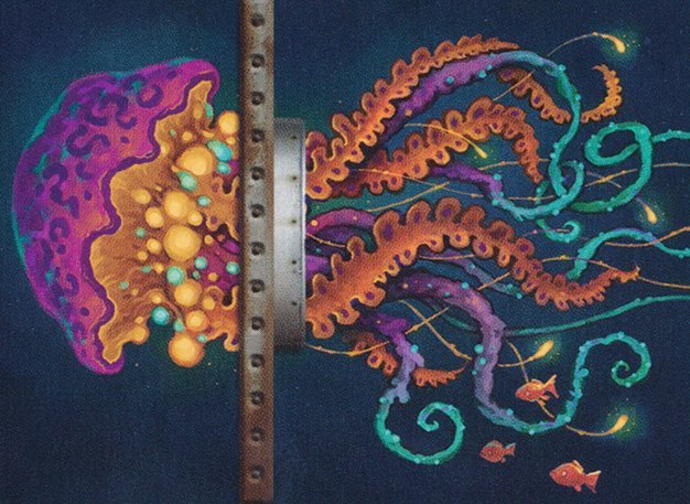 Numbing Jellyfish Crop image Wallpaper