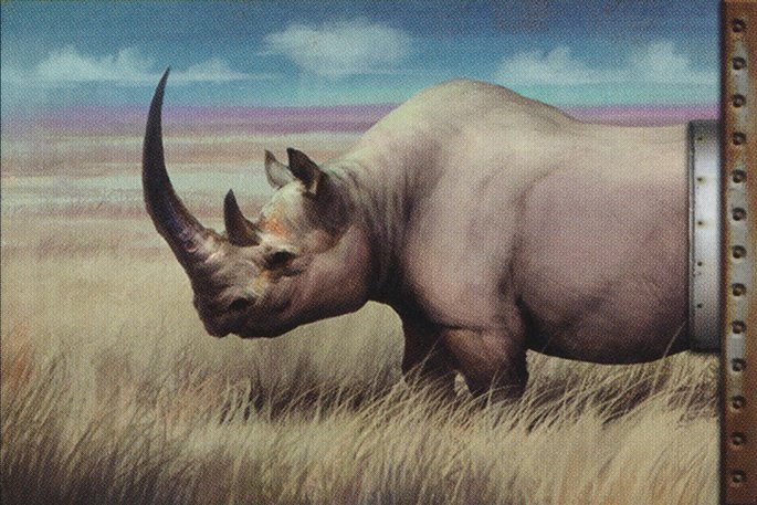 Rhino- Crop image Wallpaper