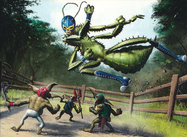 Slaying Mantis Crop image Wallpaper