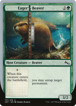 Eager Beaver
渴望的海狸 image