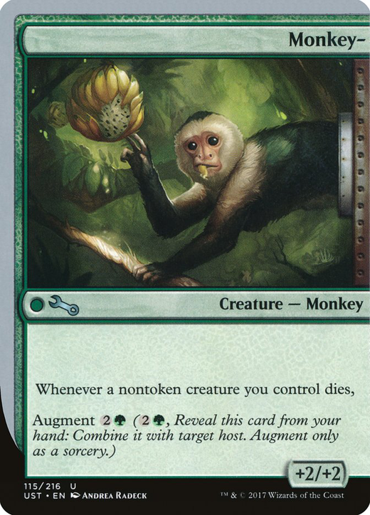 Monkey- image
