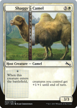 Shaggy Camel image