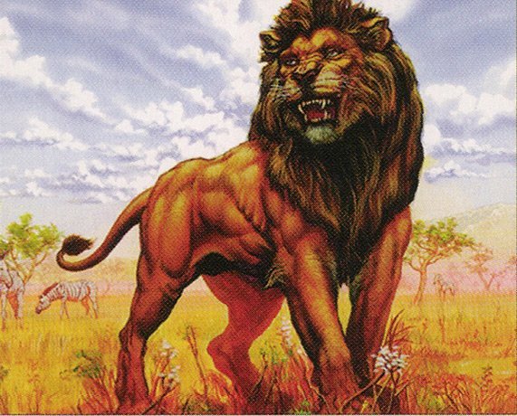 Jamuraan Lion Crop image Wallpaper