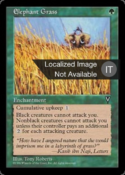 Elephant Grass image