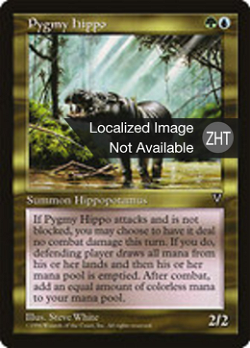 Pygmy Hippo image