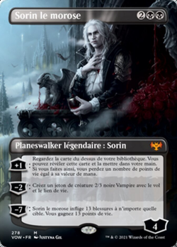 Sorin le morose