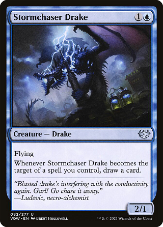Stormchaser Drake image