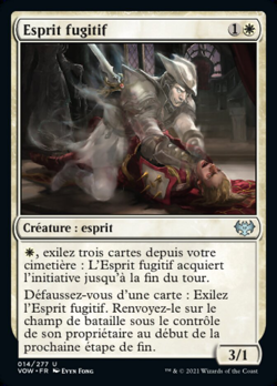 Esprit fugitif image