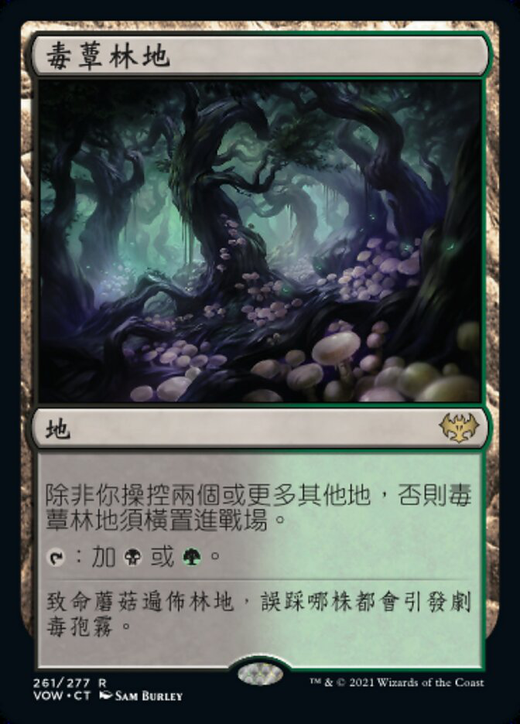 Deathcap Glade Full hd image