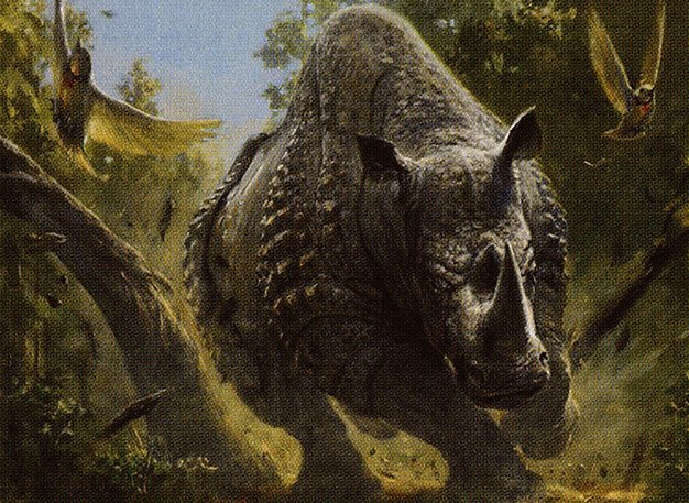 Stampeding Rhino Crop image Wallpaper