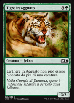 Tigre in Agguato image