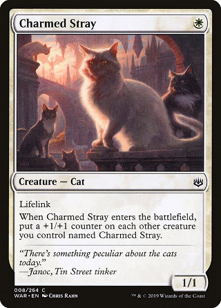 Charmed Stray image