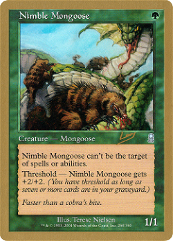 Nimble Mongoose image