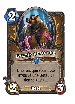 Grizzly perturbé image