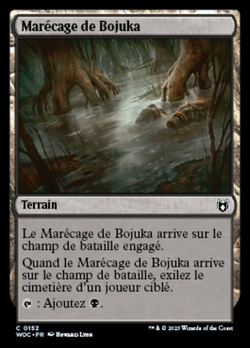 Marécage de Bojuka