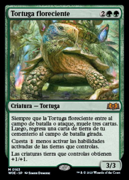 Blossoming Tortoise Full hd image