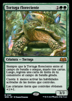 Blossoming Tortoise image