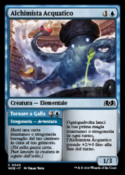 Aquatic Alchemist // Tornare a Galla image