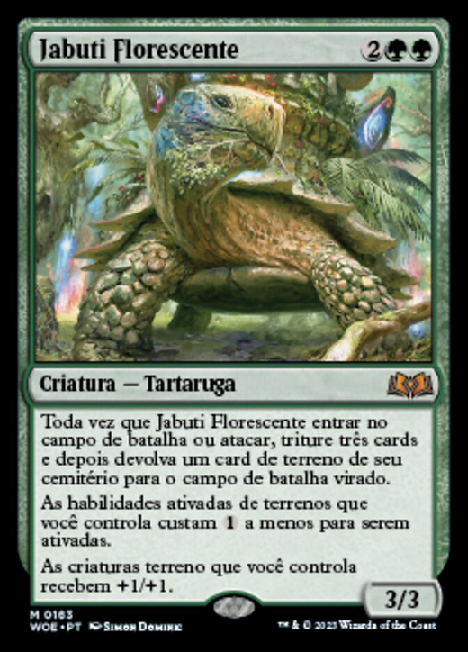 Blossoming Tortoise Full hd image