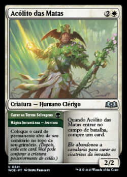 Woodland Acolyte // Curar as Terras Selvagens