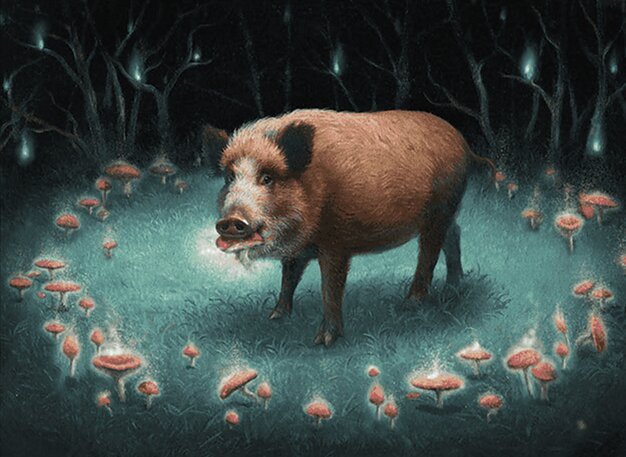 Intrepid Trufflesnout // Go Hog Wild Crop image Wallpaper