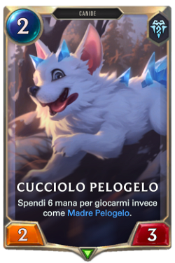 Cucciolo Pelogelo image
