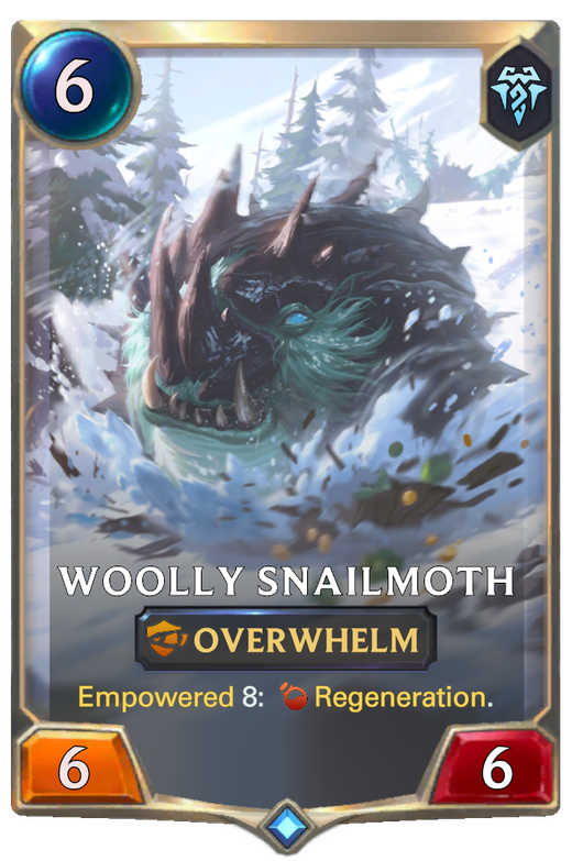 Woolly Snailmoth Full hd image