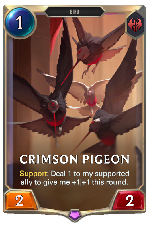 Crimson Pigeon Full hd image