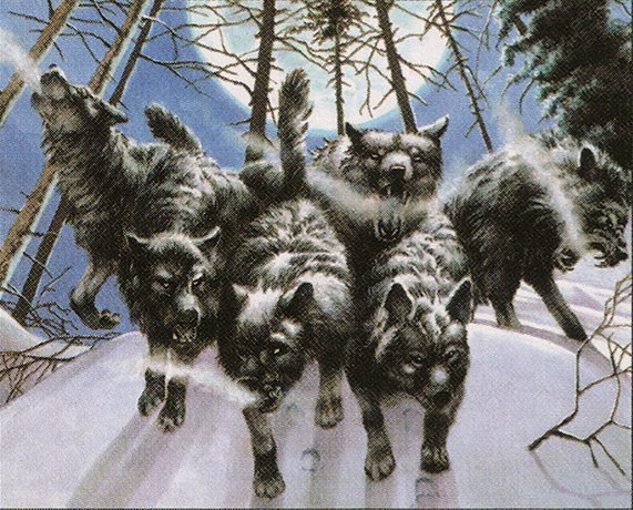 Arctic Wolves Crop image Wallpaper