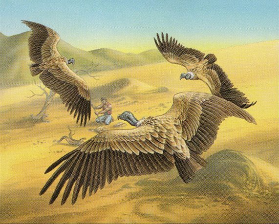Circling Vultures Crop image Wallpaper