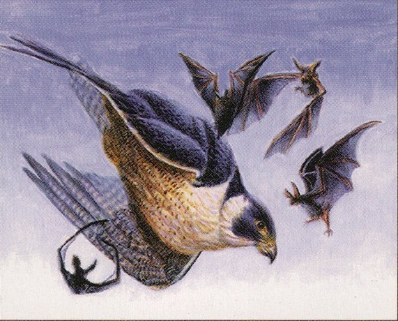 Duskrider Falcon Crop image Wallpaper