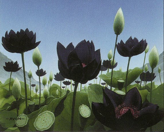 Lotus Vale Crop image Wallpaper
