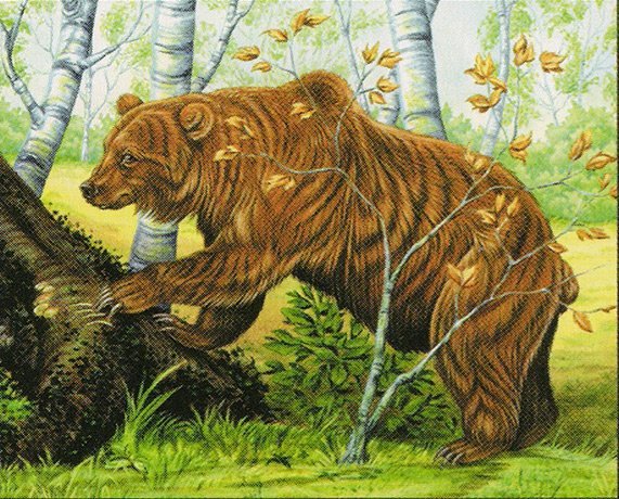 Striped Bears Crop image Wallpaper