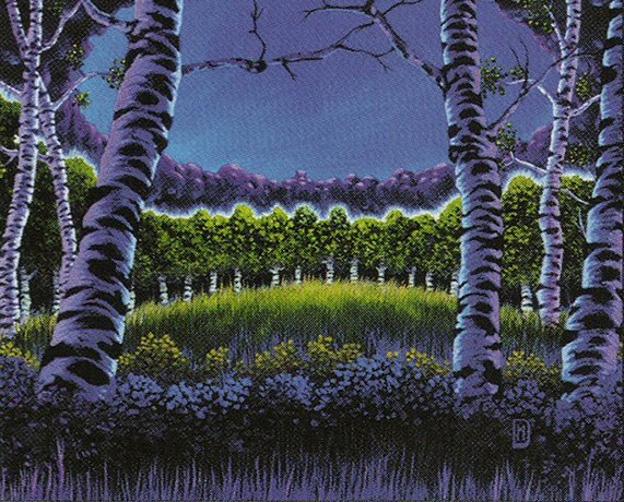 Tranquil Grove Crop image Wallpaper