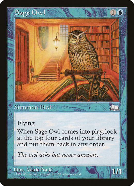 Sage Owl image