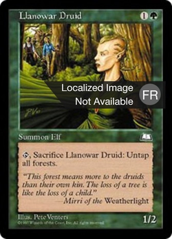 Druide de Llanowar image